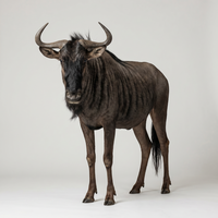 prey_gnus_1777408179860_00001_.png